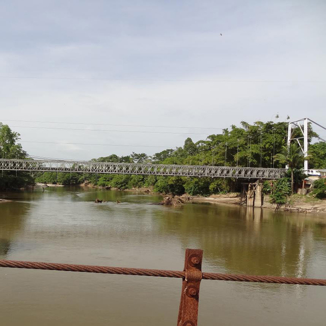 Bailey Asma K&ouml;pr&uuml;s&uuml;