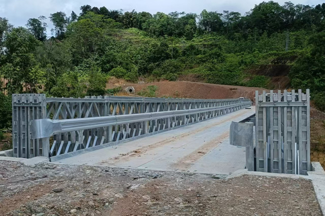 HD200-ਟਾਈਪ ਬੇਲੀ ਬ੍ਰਿਜ