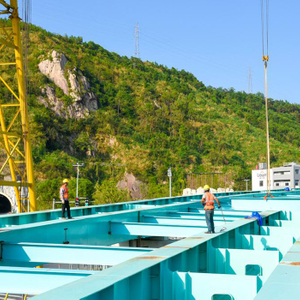 Steel Structure Fabrication Bridge