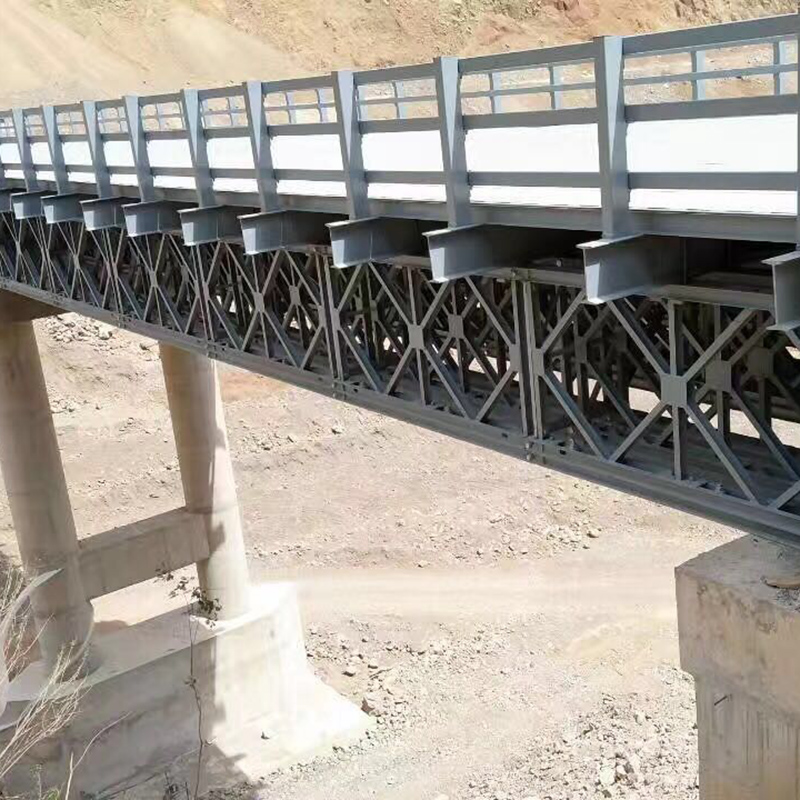 बेली टाइप ट्रेस्टल ब्रिज और प्लेटफार्म