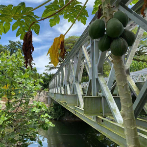 Hd321-টাইপ বেইলি ব্রিজ