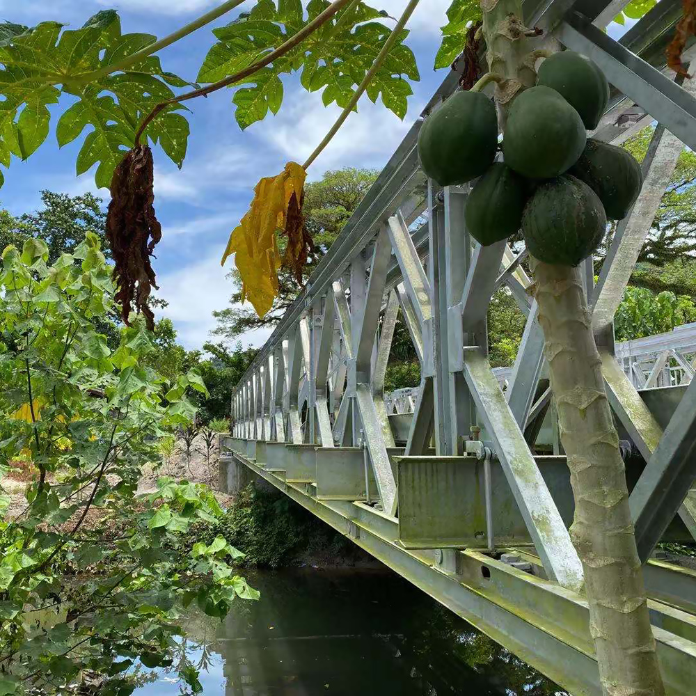 Hd321형 베일리교